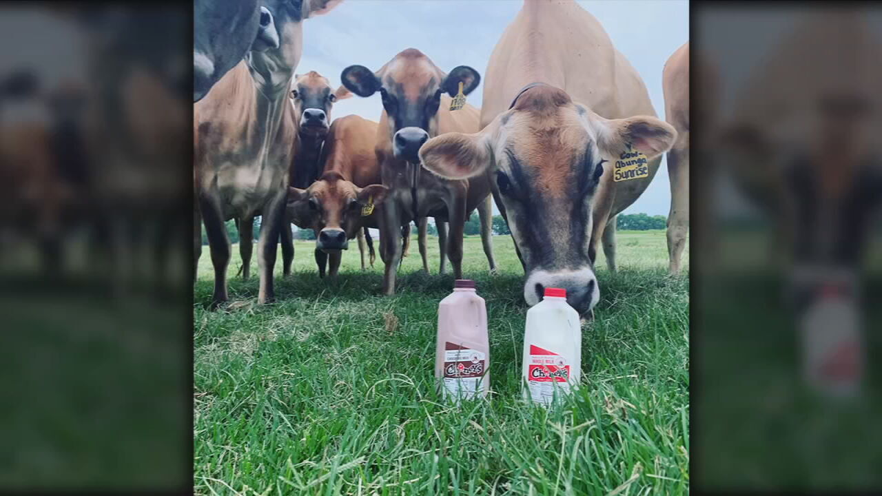 KROGER GETS KENTUCKY PROUD MILK.jpeg